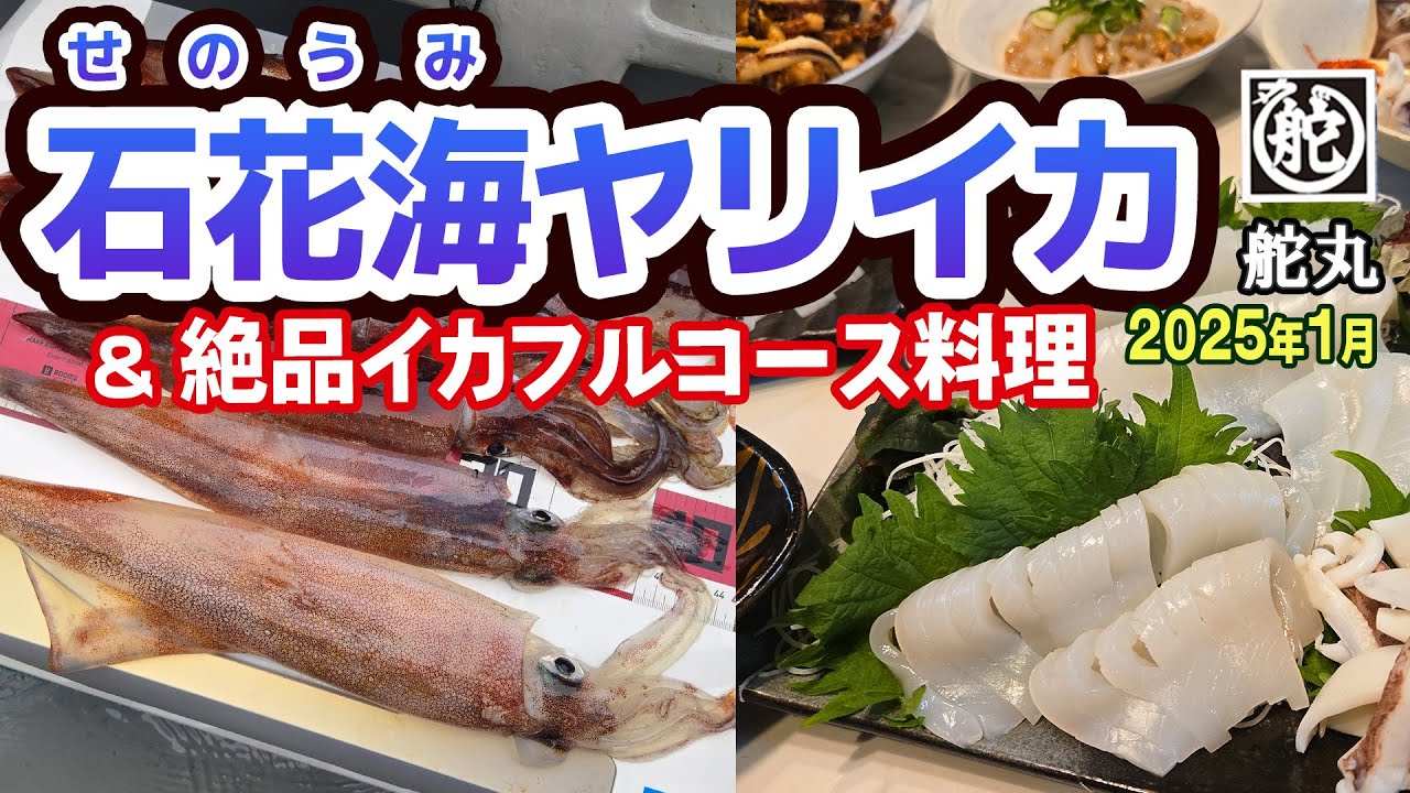【石花海ヤリイカ】石花海名物パラソル級ヤリイカを狙う◆良型ヤリイカ・スルメ活発◆絶品イカフルコース料理!!【沼津港 舵丸】《4K動画》2025.1.12