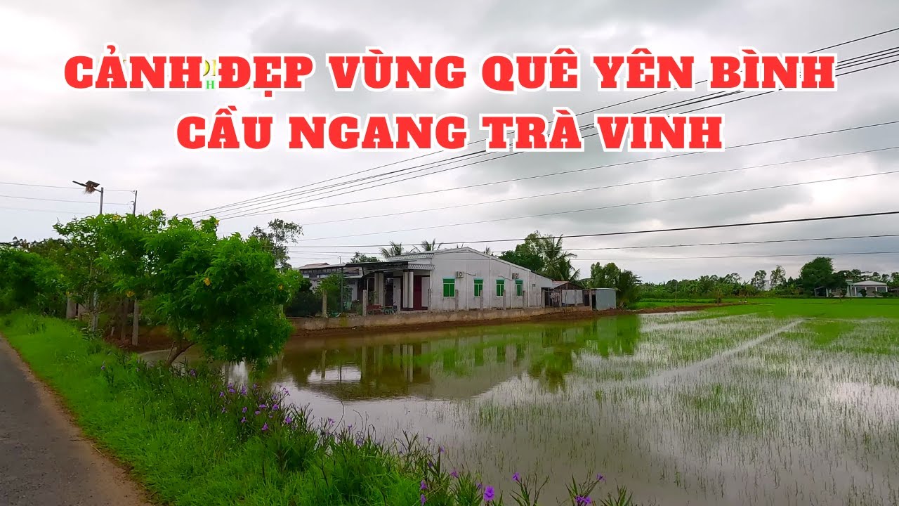 Khám phá các xã Huyện Cầu Ngang Tỉnh Trà Vinh