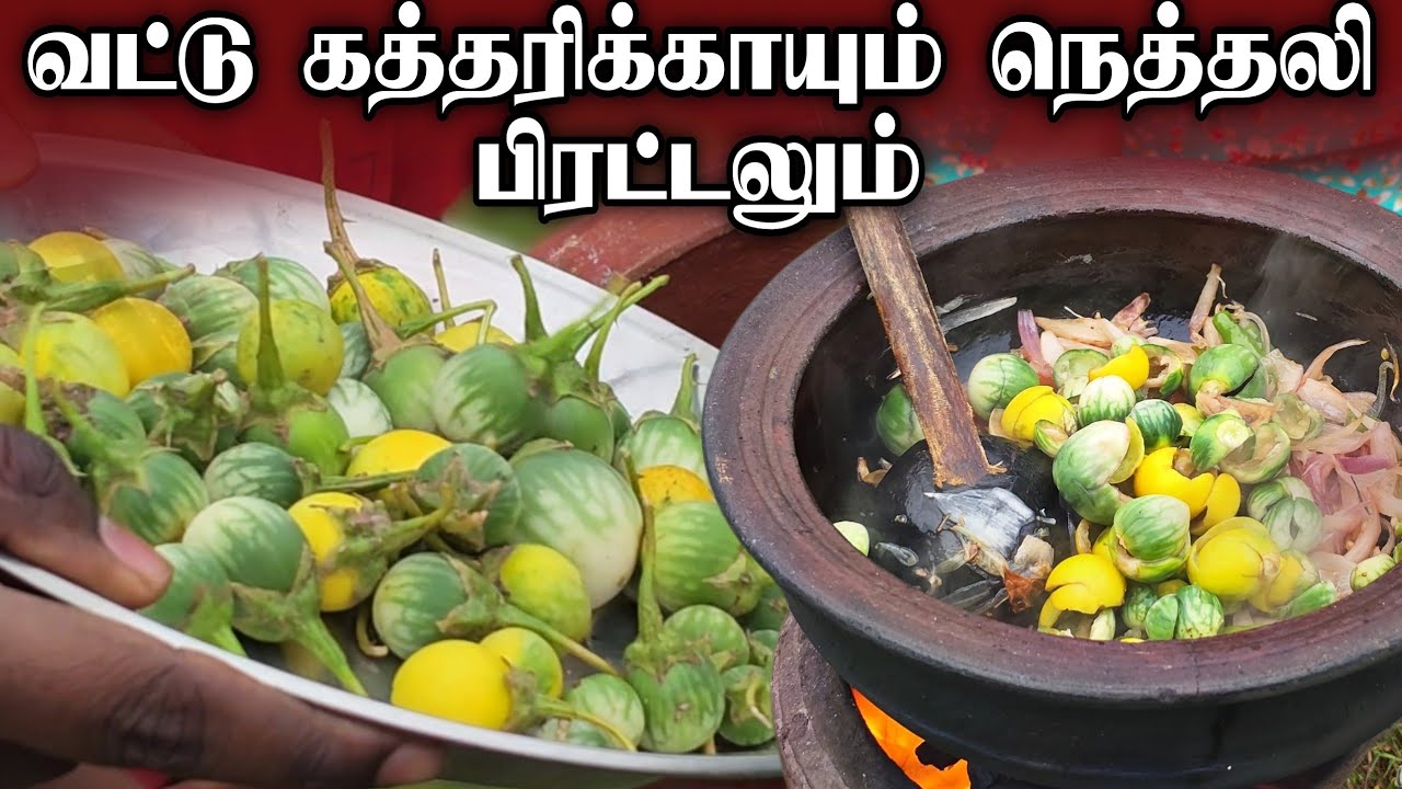 வட்டு கத்தரிக்காயும் நெத்தலி கருவாடும் பிரட்டல் | village life &hearts;️ | vanni vlog