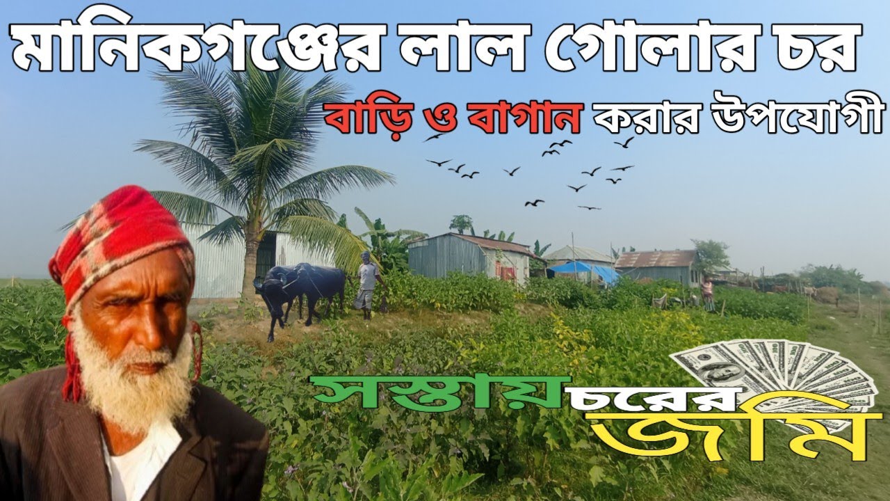 ১ শতাংশ জমি ৩০০০ টাকা স্বল্প আয়ের মানুষ এই চরে এসে বাড়ি ও বাগান করতে পারবেন! village life in BD