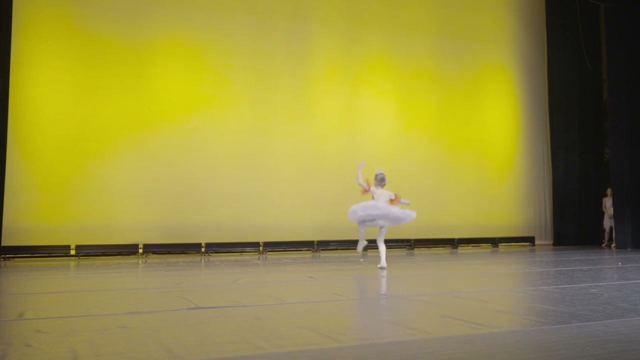 Courage Fairy Variation from Sleeping Beauty