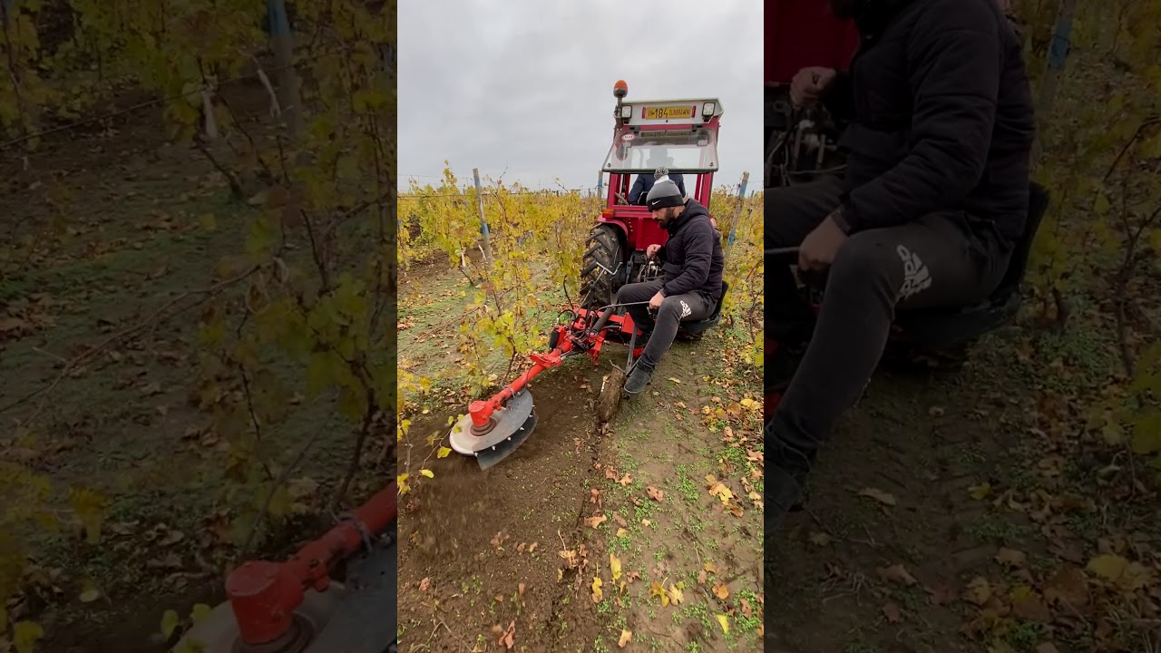 Freza cu palpator Olmi in plantatie de vita de vie