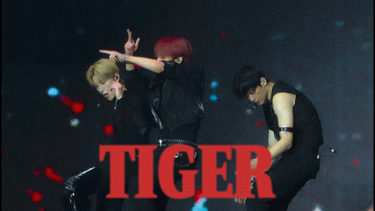 [4K] 250808-10 'TIGER' (타이거) | 더보이즈 현재 주연 선우 직캠 | THE BOYZ THE BLAZE