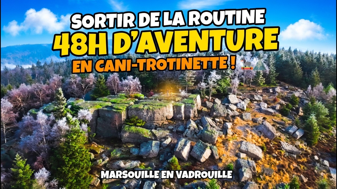 Sortir de la routine : 48h d’aventure en cani-trotinette