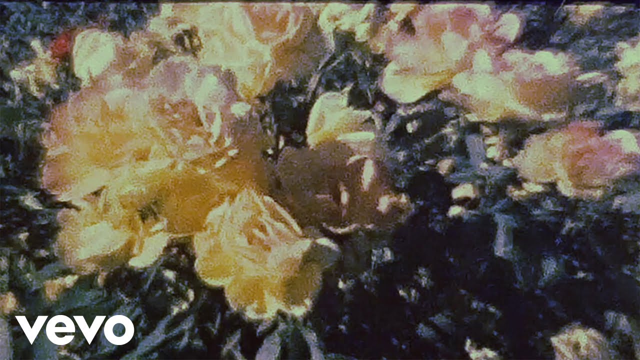 Unknown Mortal Orchestra - Earth 2 (Official Video)