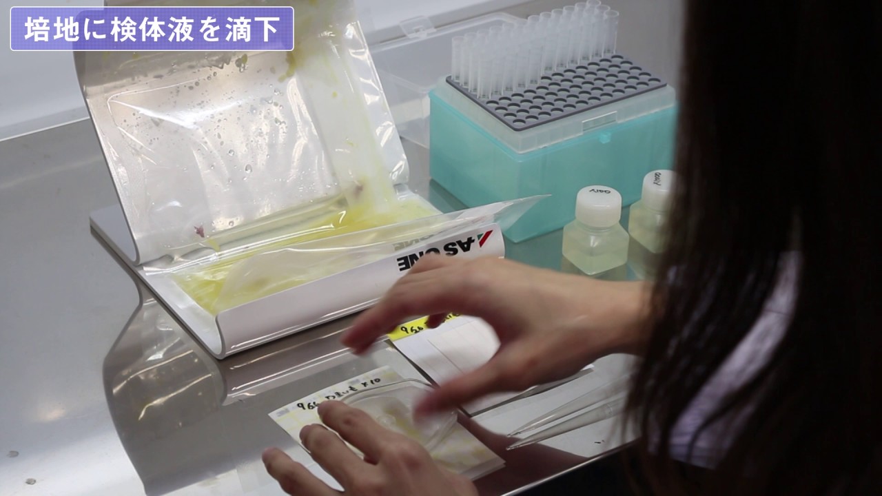 食品の微生物検査
