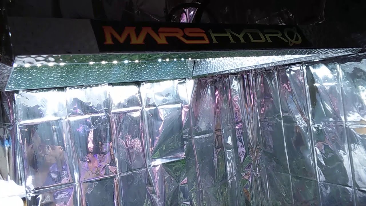 MARS HYDRO TS600 - Fastbuds Fastberry