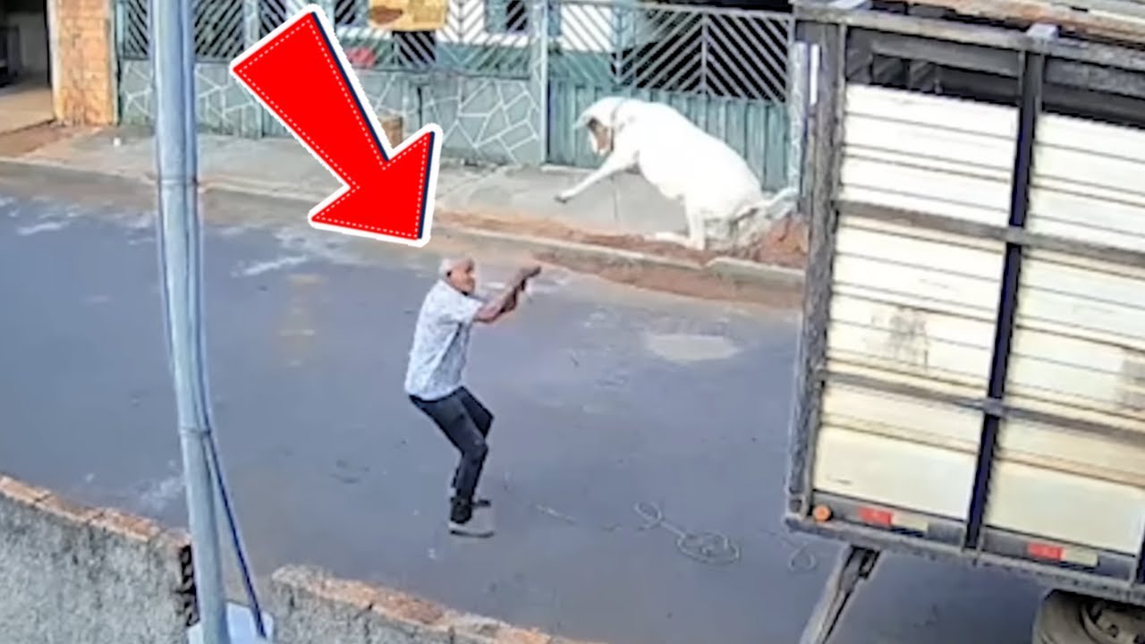 EPIC FAIL ACCIDENTS😱😱 #6