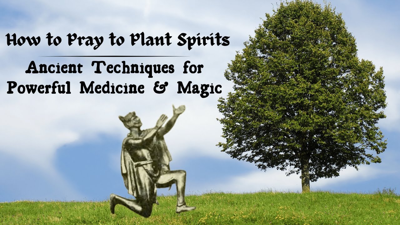 How to Pray to Plant Spirits | Ancient Techniques for Powerful Medicine & Magic