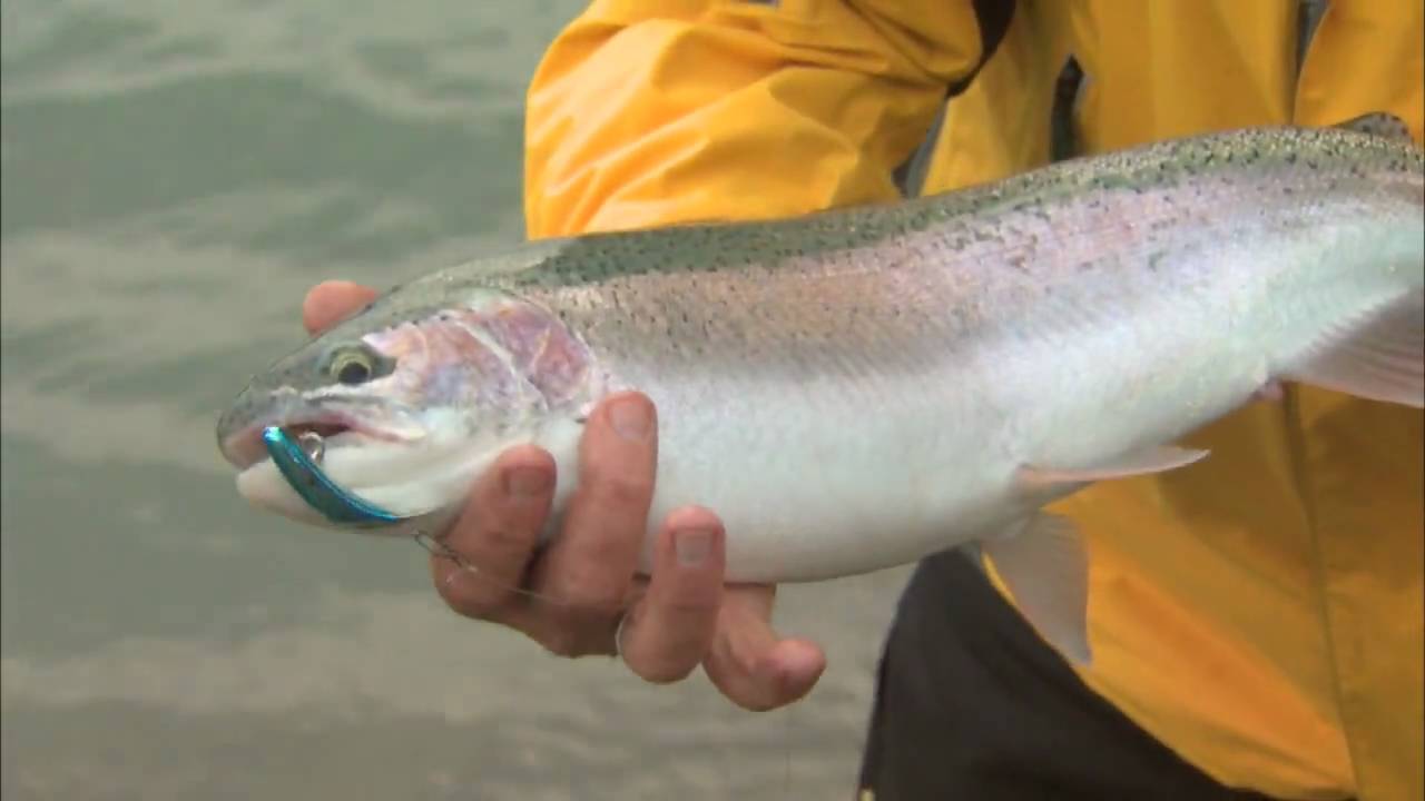 Kwik Fishing for Steelhead, Niagara River ON  Csf 24 24 01