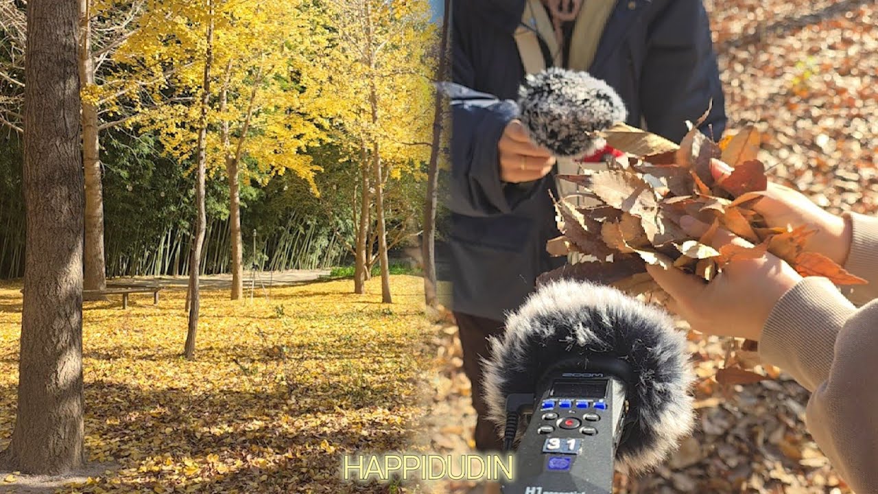 Vlogㅣ울산가서 사운드워킹하고 곱창 먹었습니다.(feat. 11년지기)ㅣ내 사랑 덕클💛ㅣ울산바다ㅣ대통령님도 왔다간 호텔간월재🏡