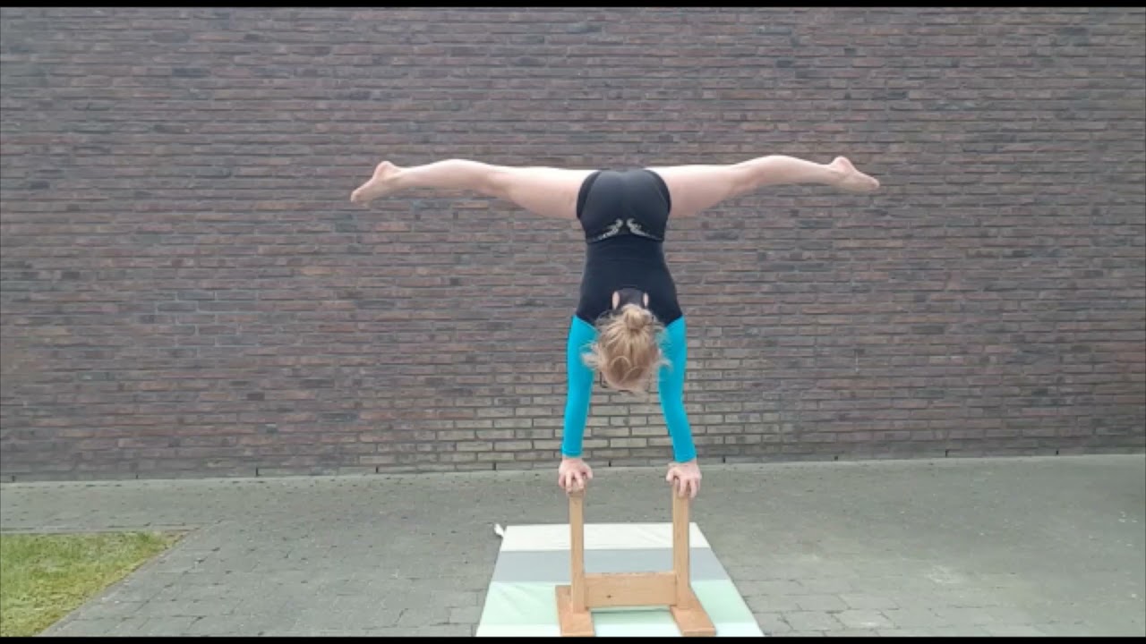 Steuntjes Wild Gym 2021
