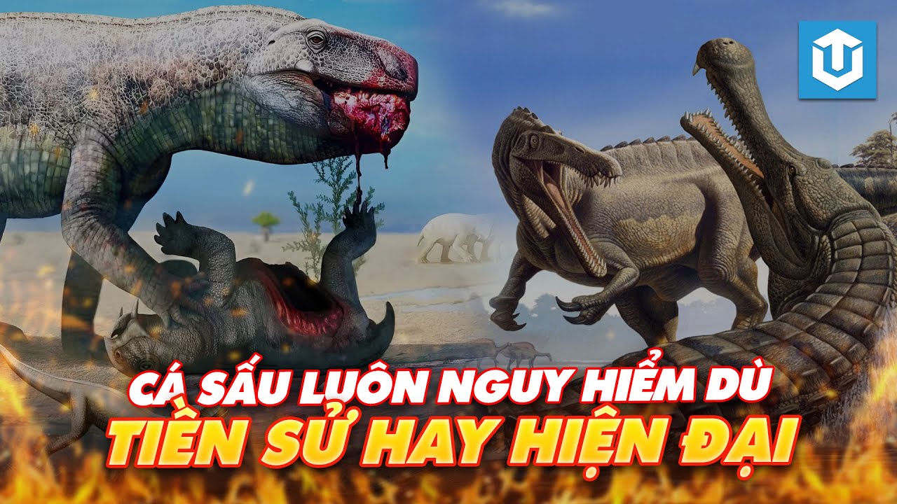 CÁC LOÀI CÁ SẤU TIỀN SỬ VÀ HIỆN ĐẠI NGUY HIỂM NHẤT