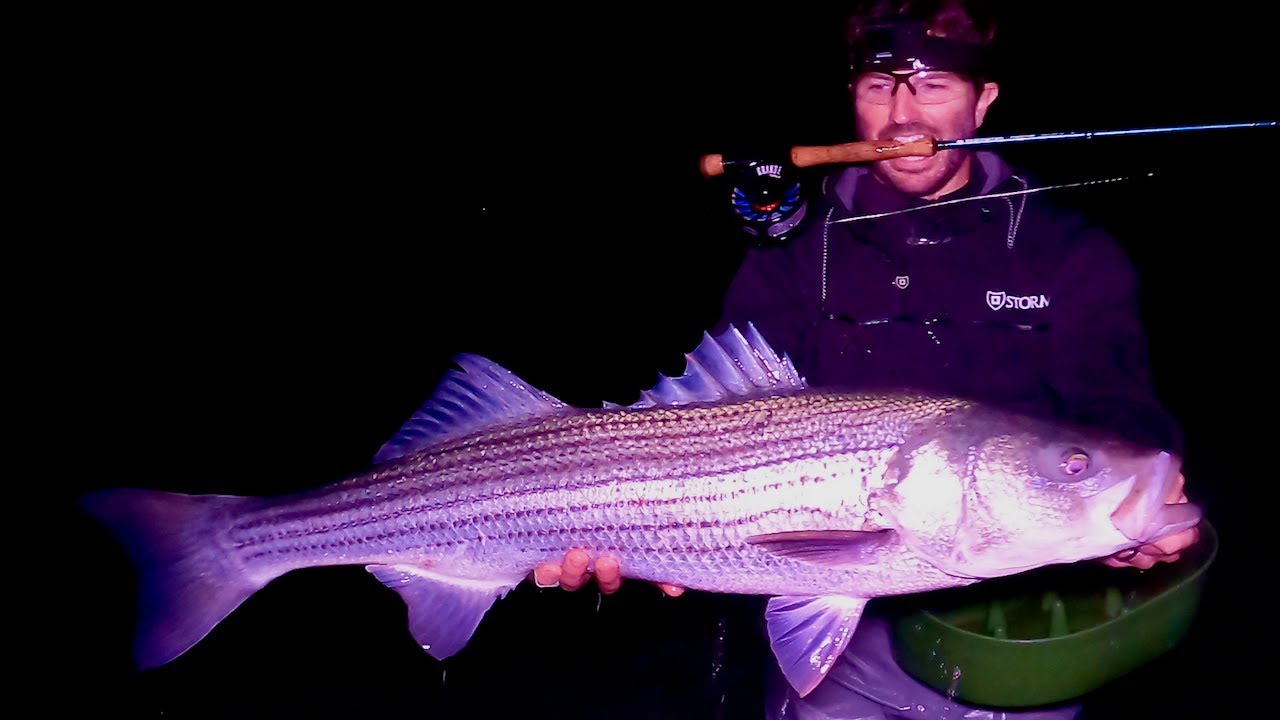 Night Fly Fishing for Cape Cod Striped Bass