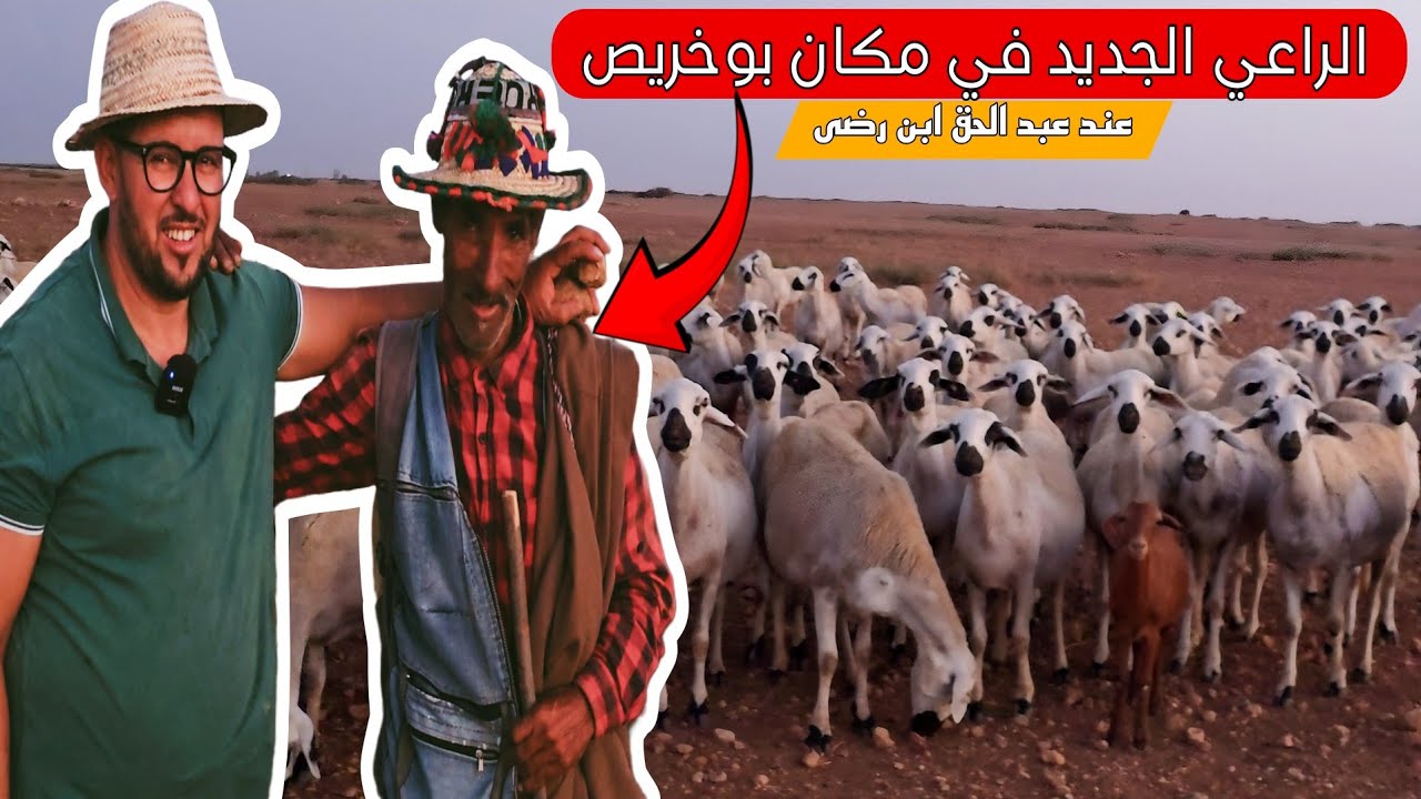 الراعي الجديد عند عبد الحق ابن رضى لي عوض مكان بوخريص