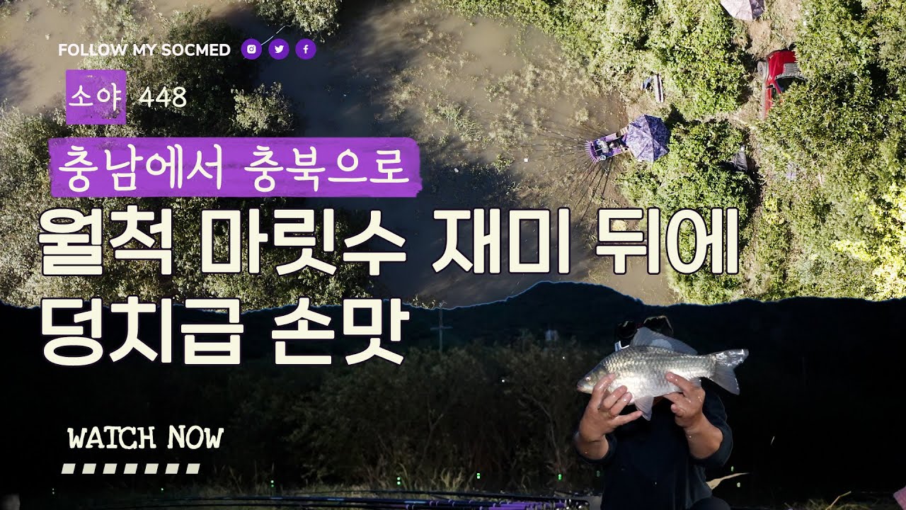 충남에서 마릿수 충북에서 덩치!