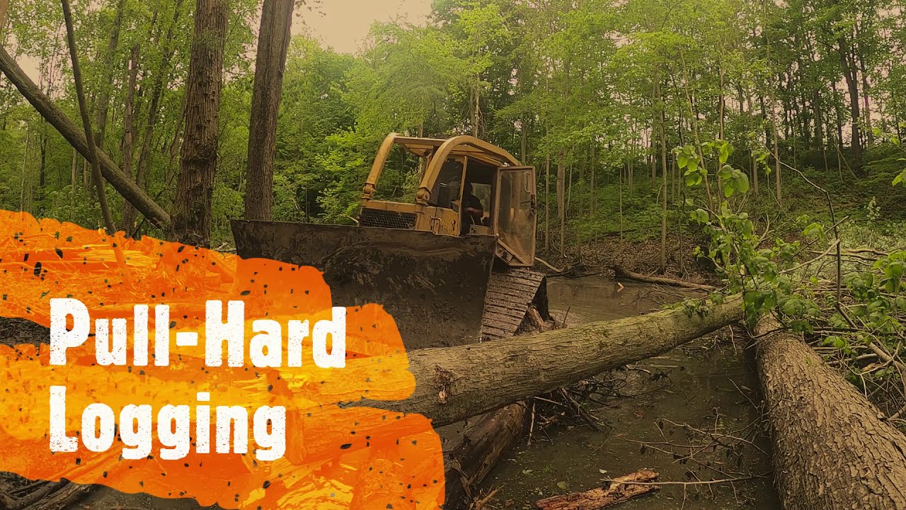 D5H Cat Dozer Swamp Logging