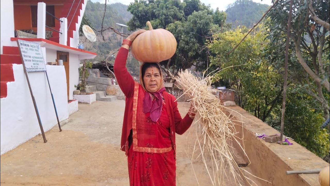 कद्दू कटेगा सबको नहीं बंटेगा गांव पहाड़ की दिनचर्या 
