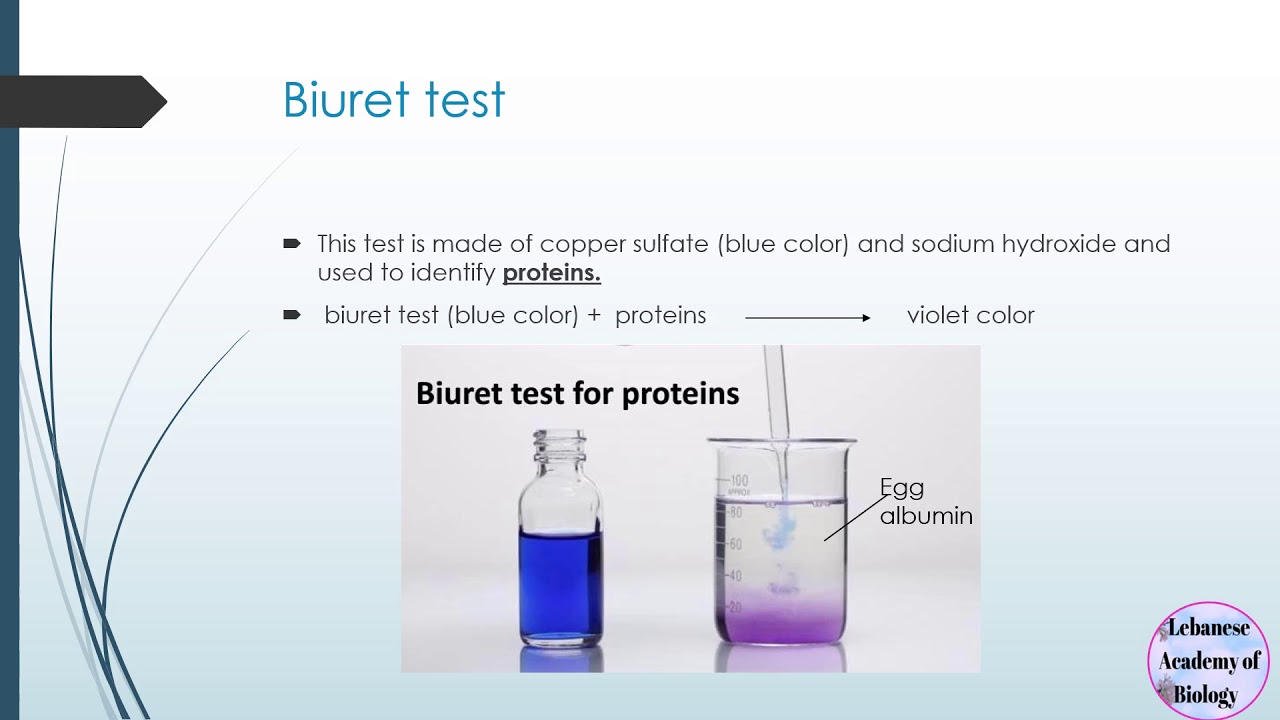 food test - Grade 9