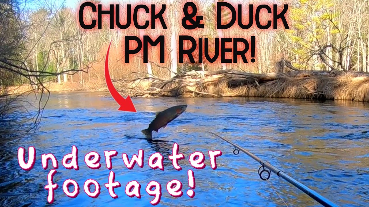 Chuck & Duck For STEELHEAD on The Pere Marquette River (First time fail)