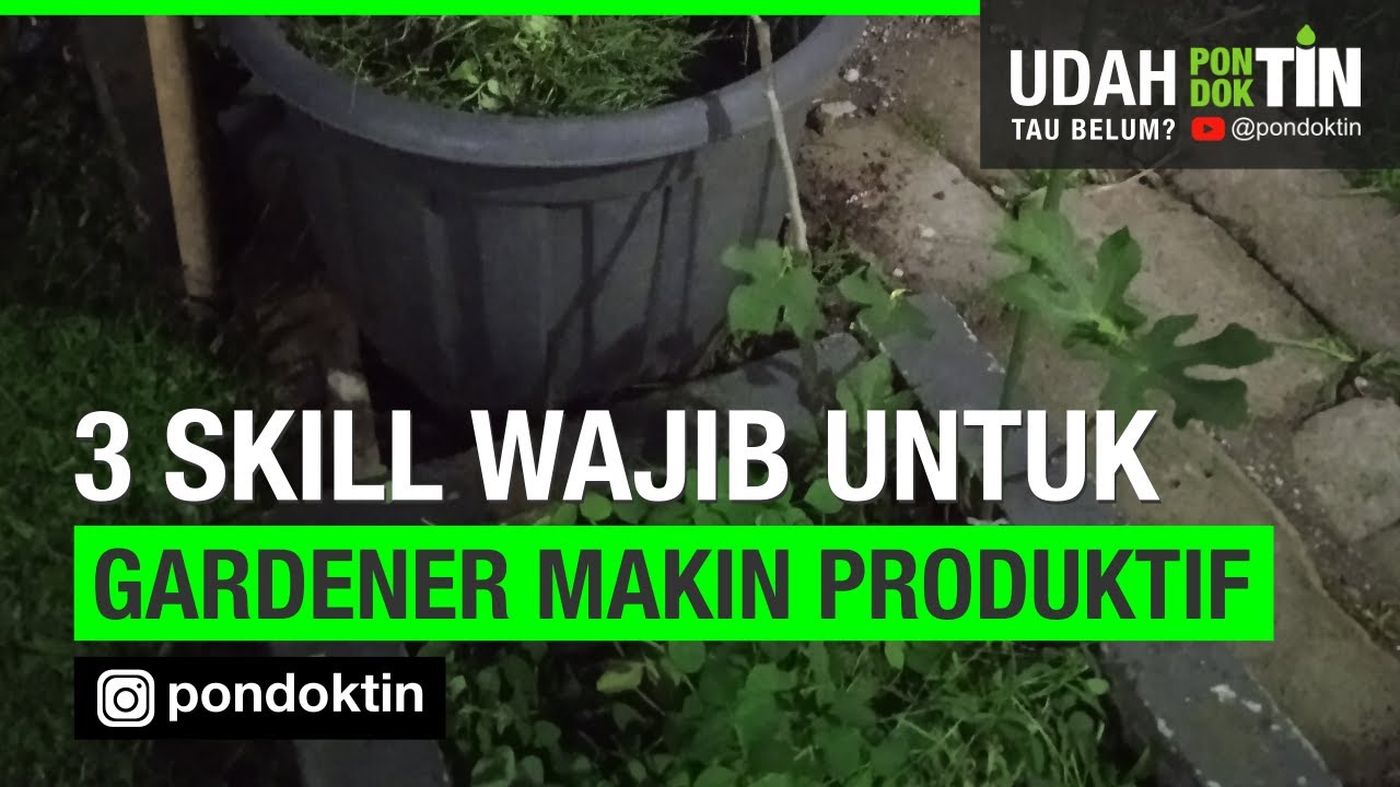 3 skill wajib gardener yang harus dimiliki, agar kebun menjadi lebih produktif, udah pada tau kan?