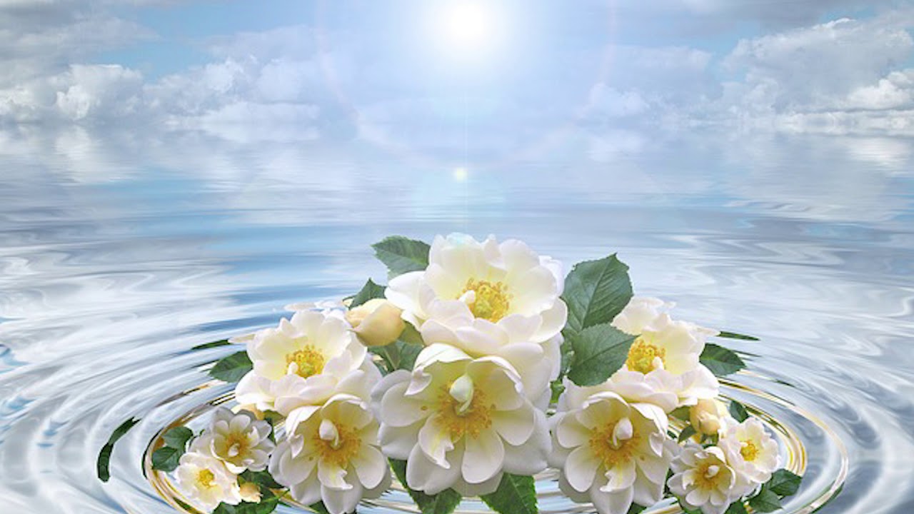 Mariana Somesan - Din noaptea grea doar Tu m-ai izbavit