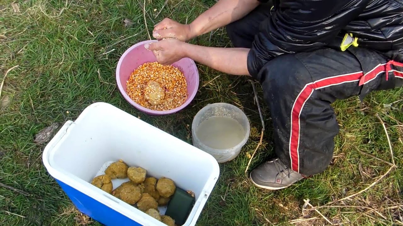 Mamaliga ,nada pentru crap carp bait polenta ,continuare; asezarea nadei pe naditor