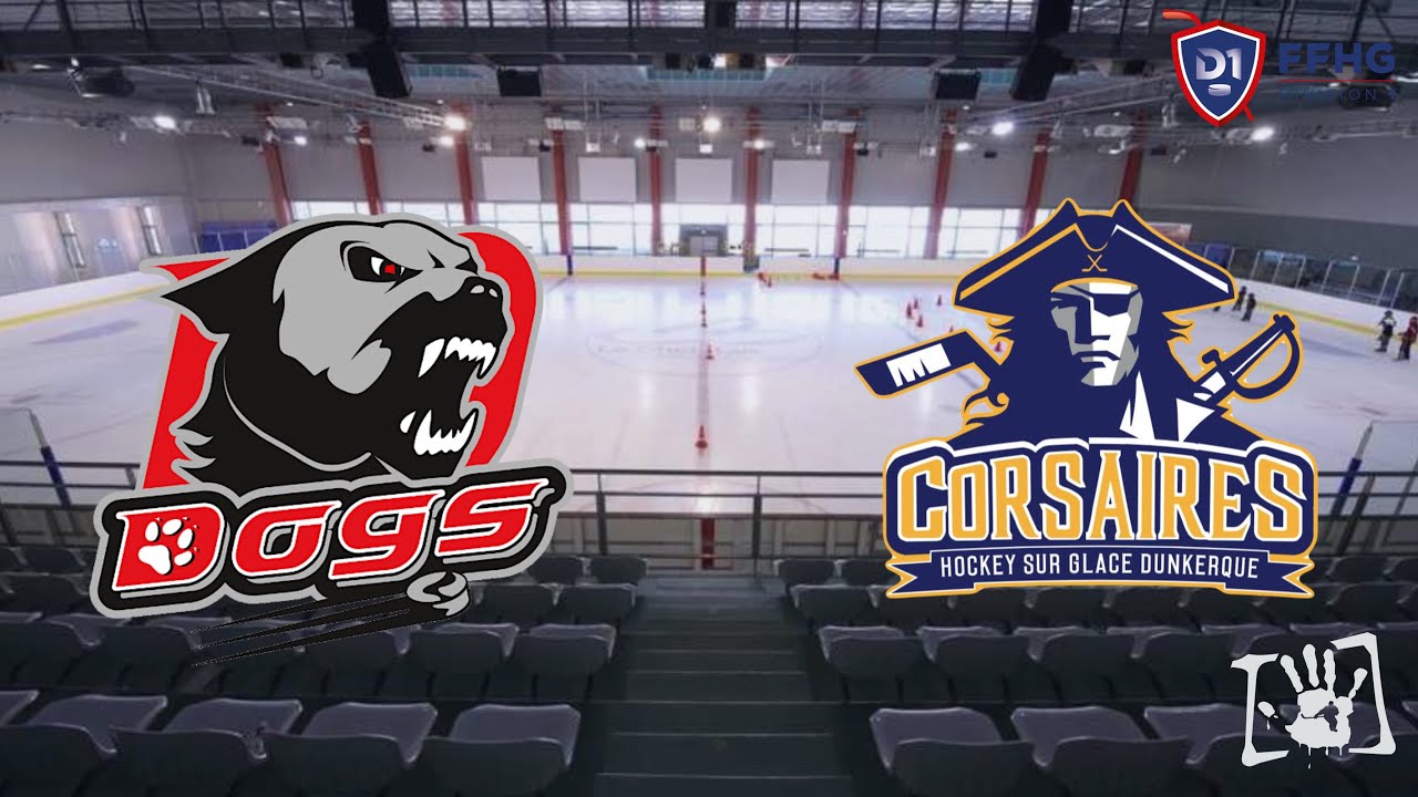 Résumé Les Dogs de Cholet VS Les Corsaires de Dunkerque (1-2) Journée 24