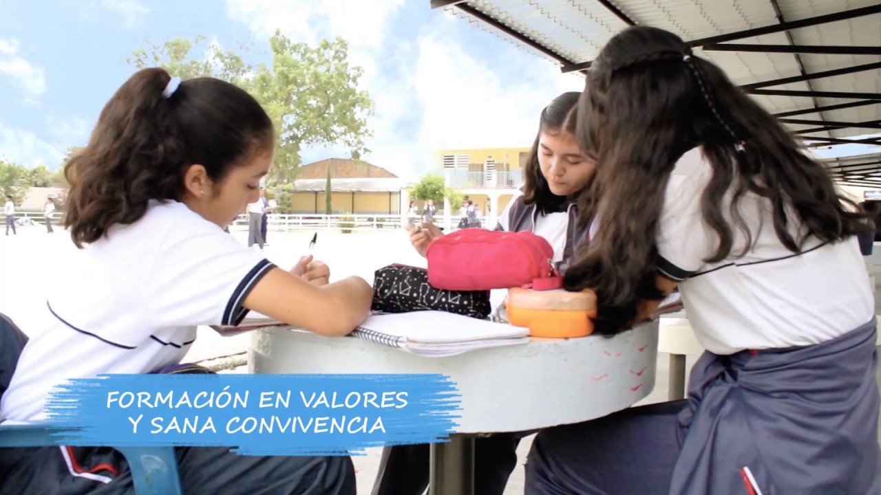 Colegio Franciscano Santa Anita - Video Institucional