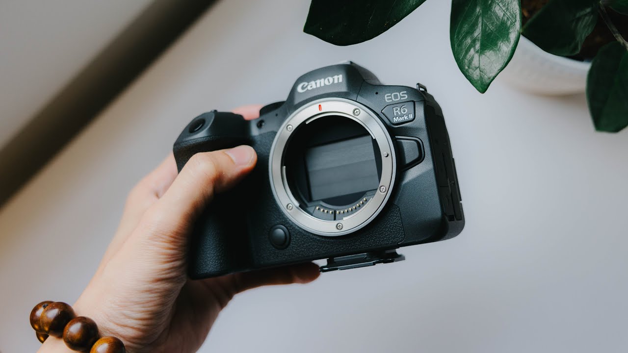 Настройте Canon R6 Mark II как профессионал, чтобы точно сфокусироваться