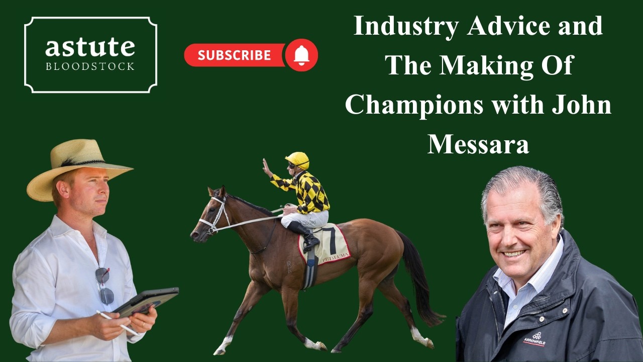 Industry Advice and The Making Of Champions with John Messara