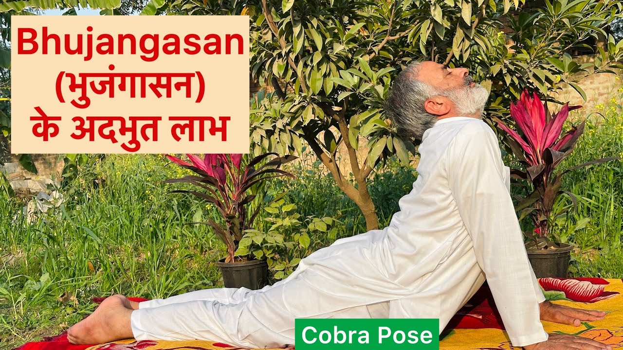 Bhujangasana (Cobra Pose) । भुजंगासन एक लाभ अनेक