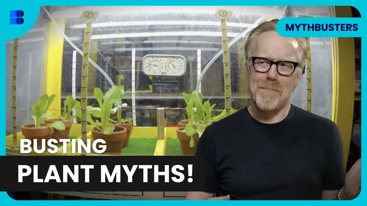 Amazing Plant Growth Experiment - Mythbusters - Science Documentary