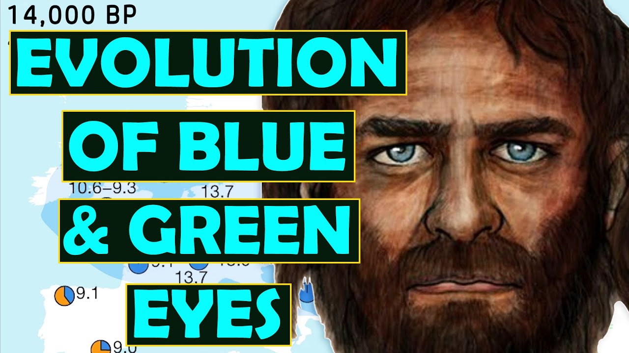 Western Hunter Gatherers and the Evolution of Blue & Green Eyes…