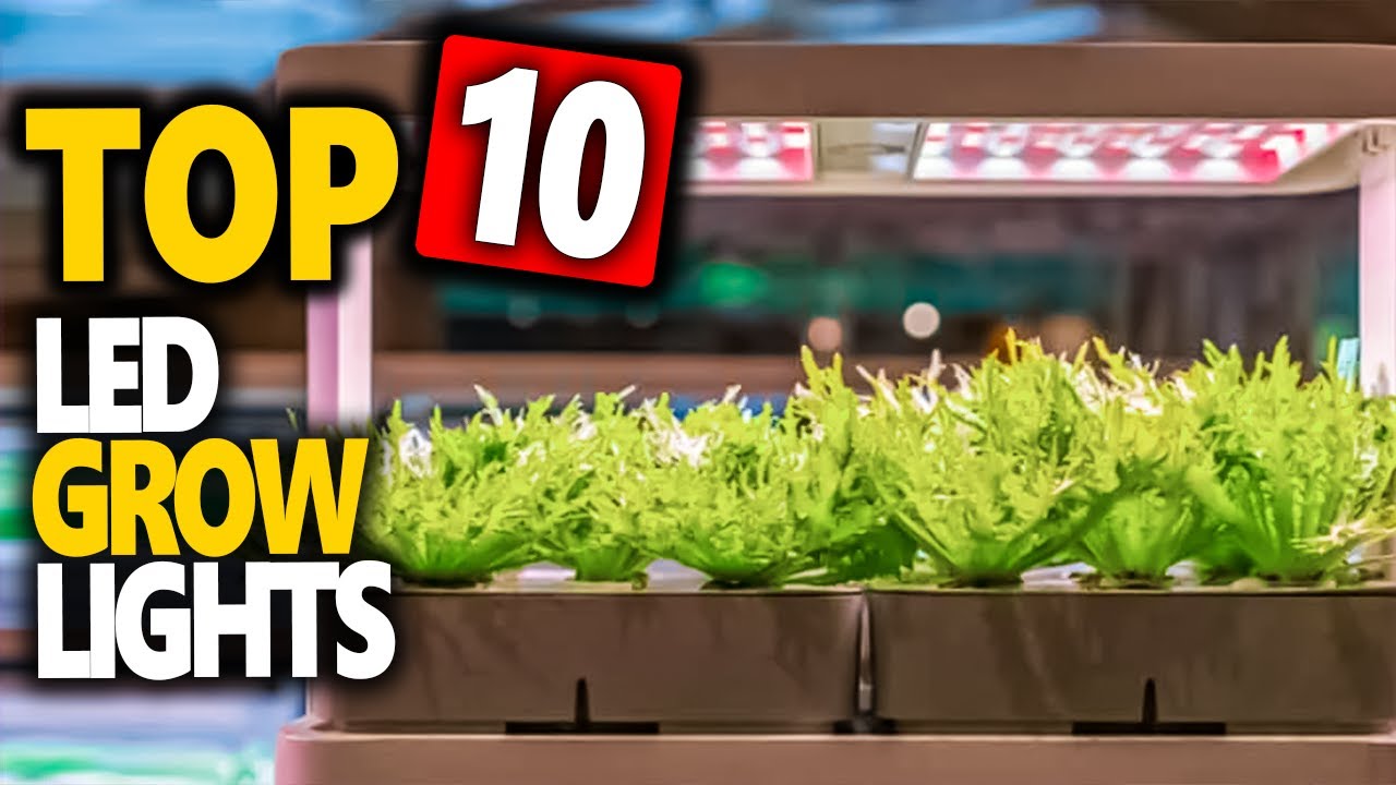 Top 10 Best Led Grow Lights 2022