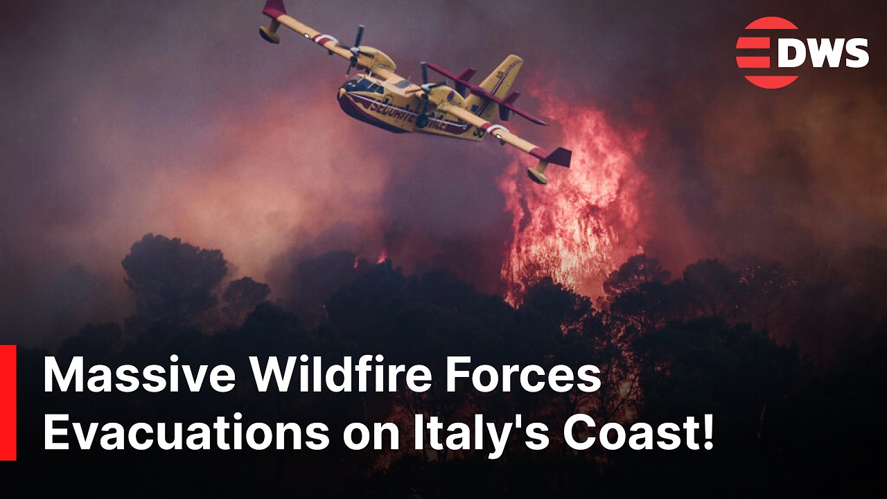 Aerial Footage Shows Massive Wildfire on Italy's Gargano Coast | Hundreds Evacuated | AL1Z