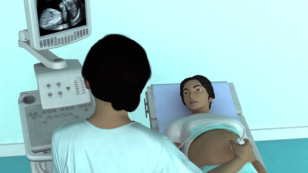 The Basic Steps of an Obstetric Ultrasound Examination