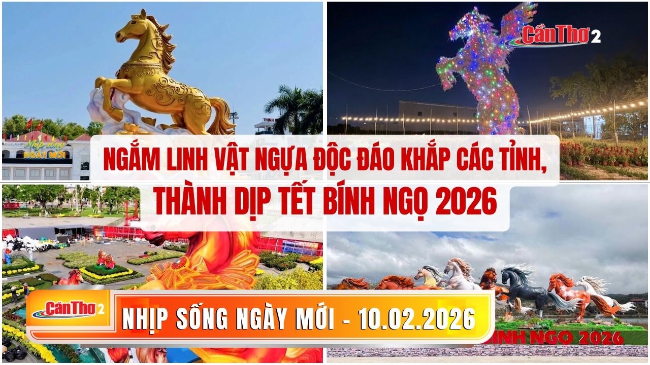 Ngắm linh vật ngựa độc đáo khắp các tỉnh, thành dịp Tết Bính Ngọ 2026 |Nhịp sống ngày mới 10.02.2026