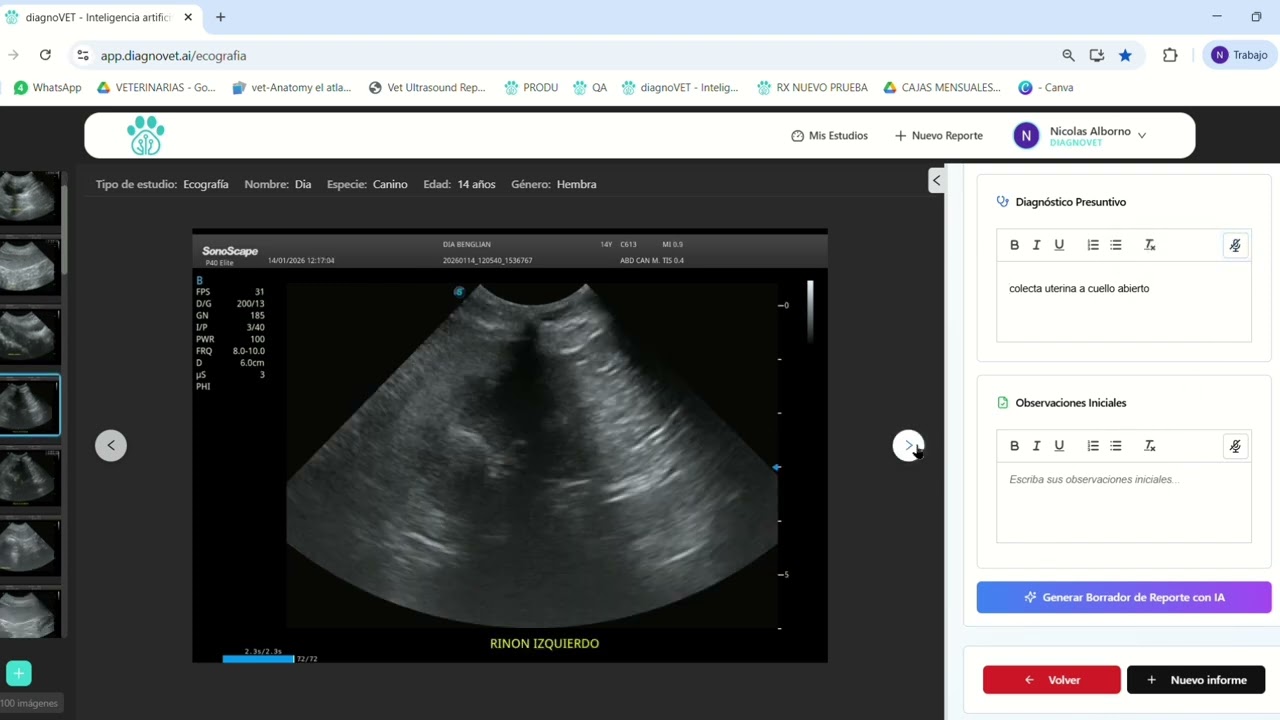 diagnoVET ecografía abdominal paso a paso