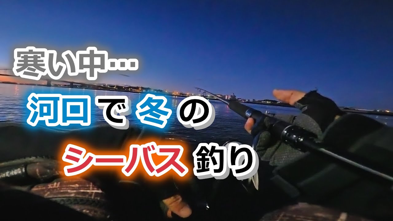 寒い中…河口で冬のシーバス釣り【2025年1月11日】