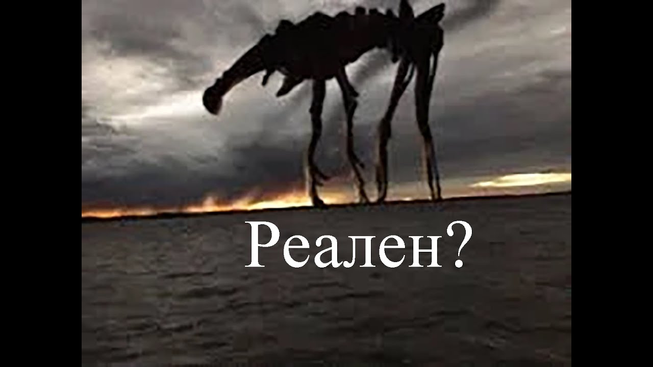 День 18. Реален?