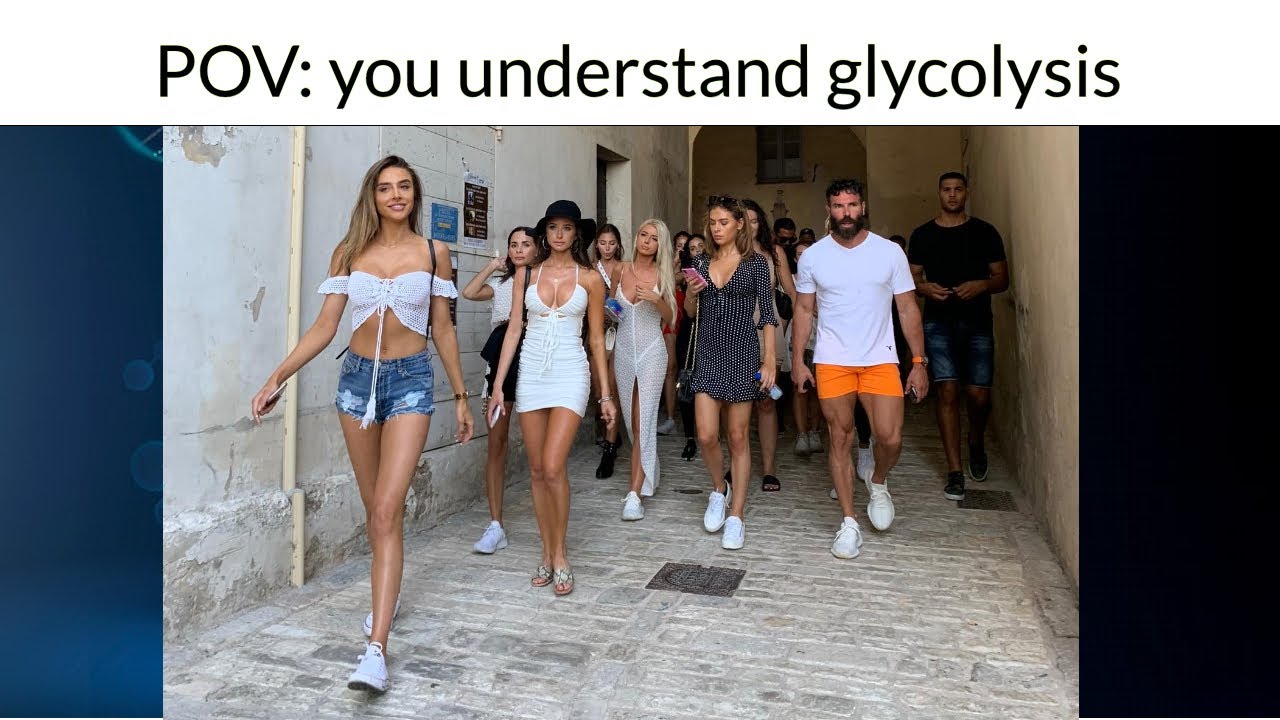 Biology Major Slander