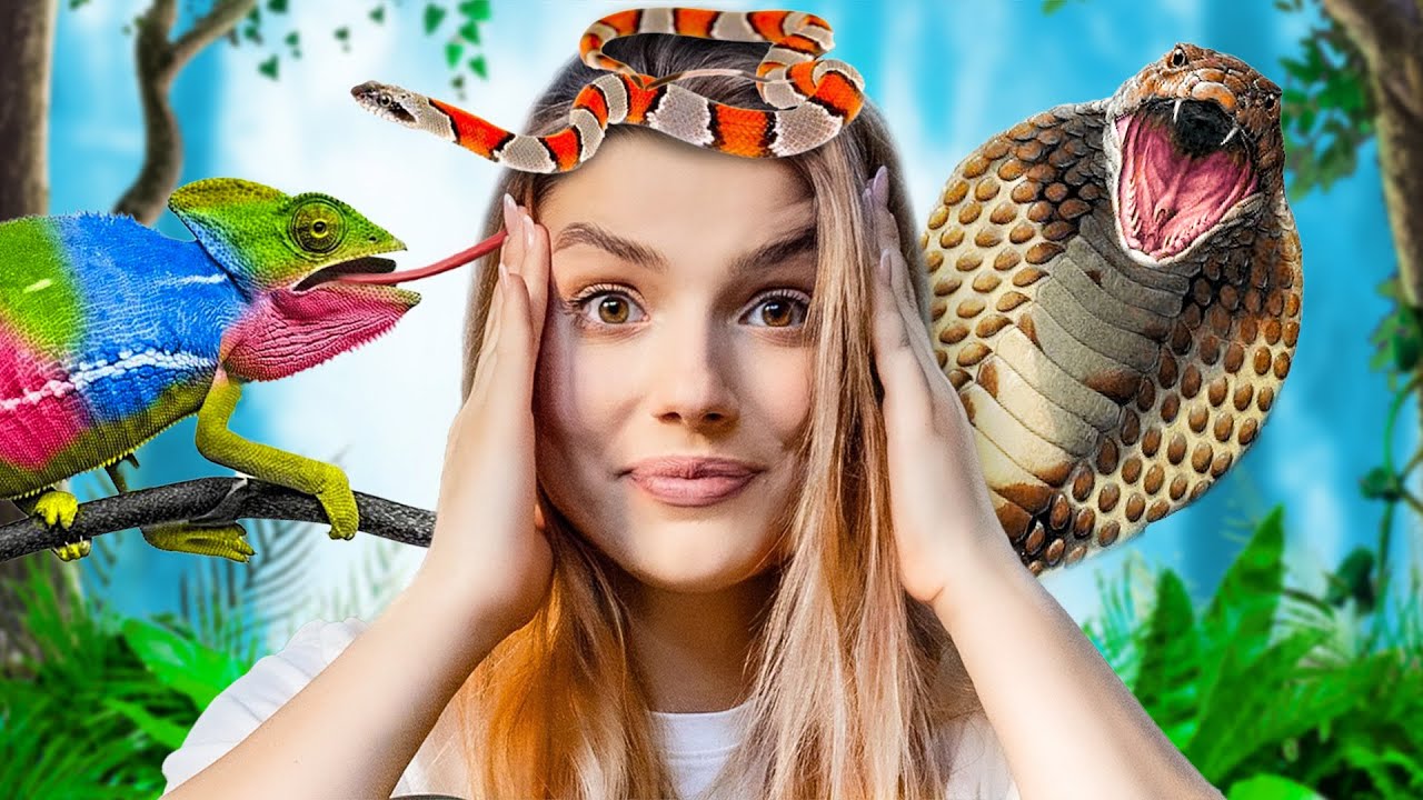 CAŁY DZIEŃ Z ZABÓJCZYMI ZWIERZĘTAMI!