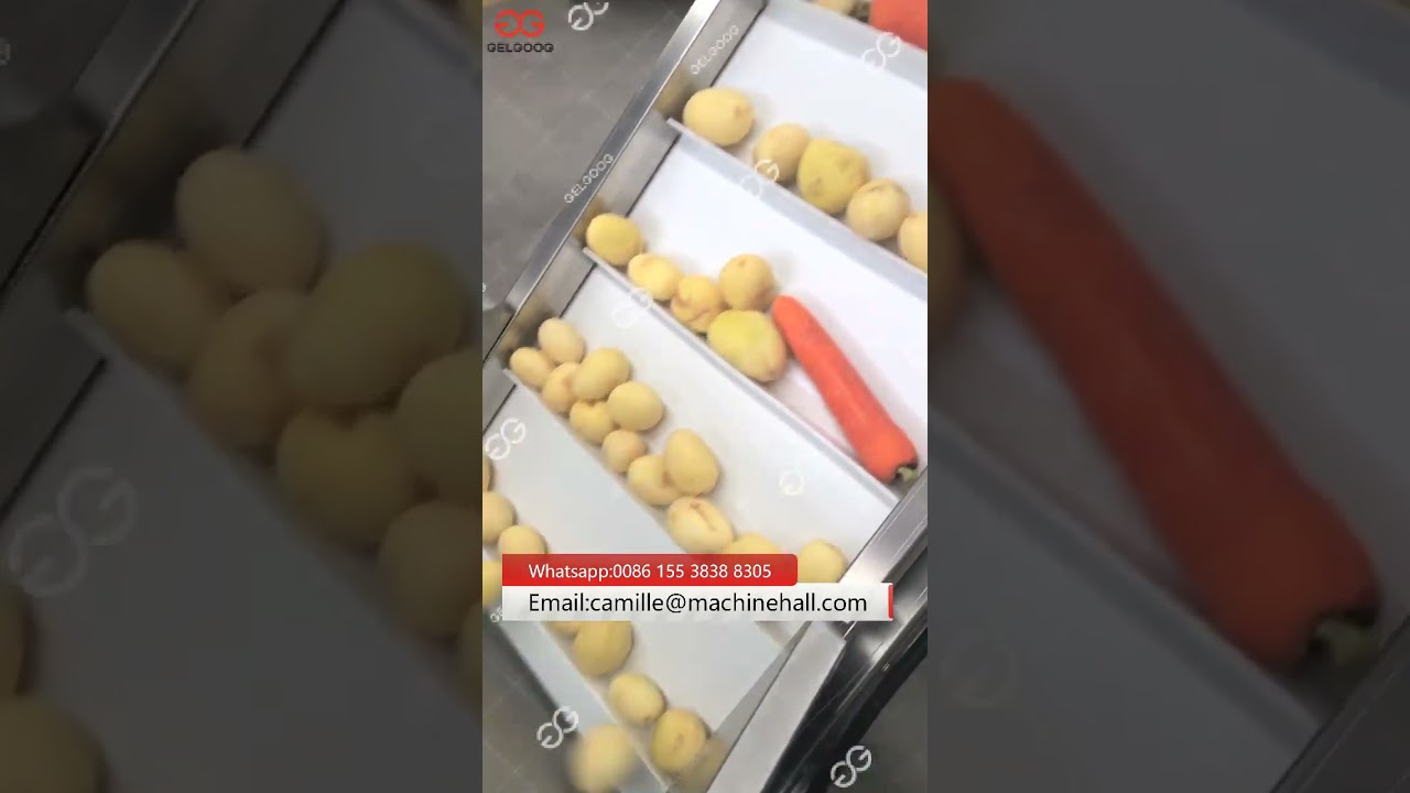 Root Vegetable Processing Machine From A To Z(WashinG Dicing Packing )