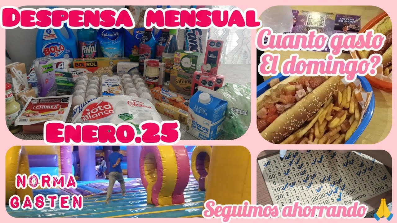 ✅DESPENSA MENSUAL ENERO.25 ✅ Pocas compras 😉 Gasto del domingo ☺️ #normagasten