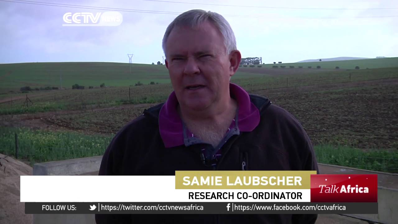 Talk Africa:  Agricultural transformation in Africa