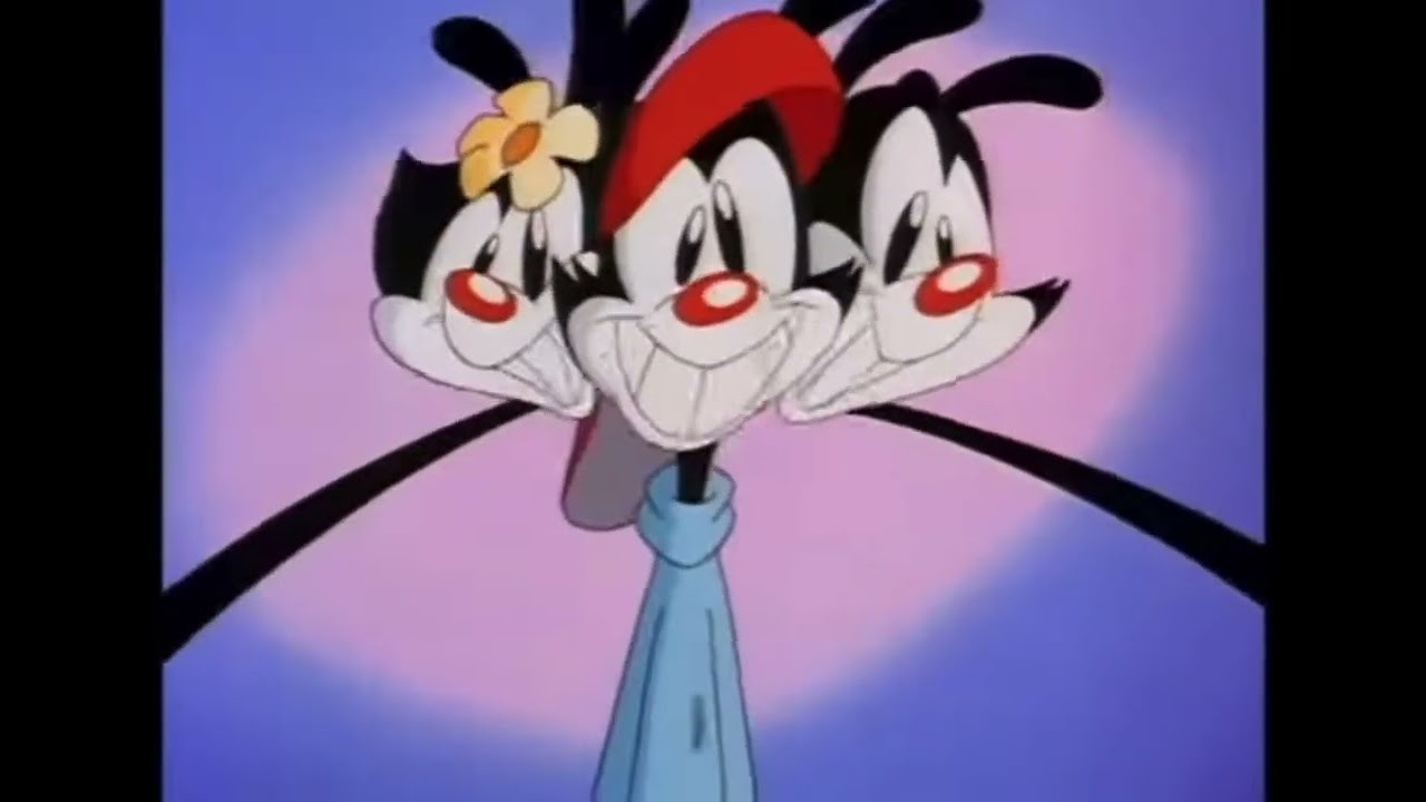 Catch Up Song Animaniacs 1993