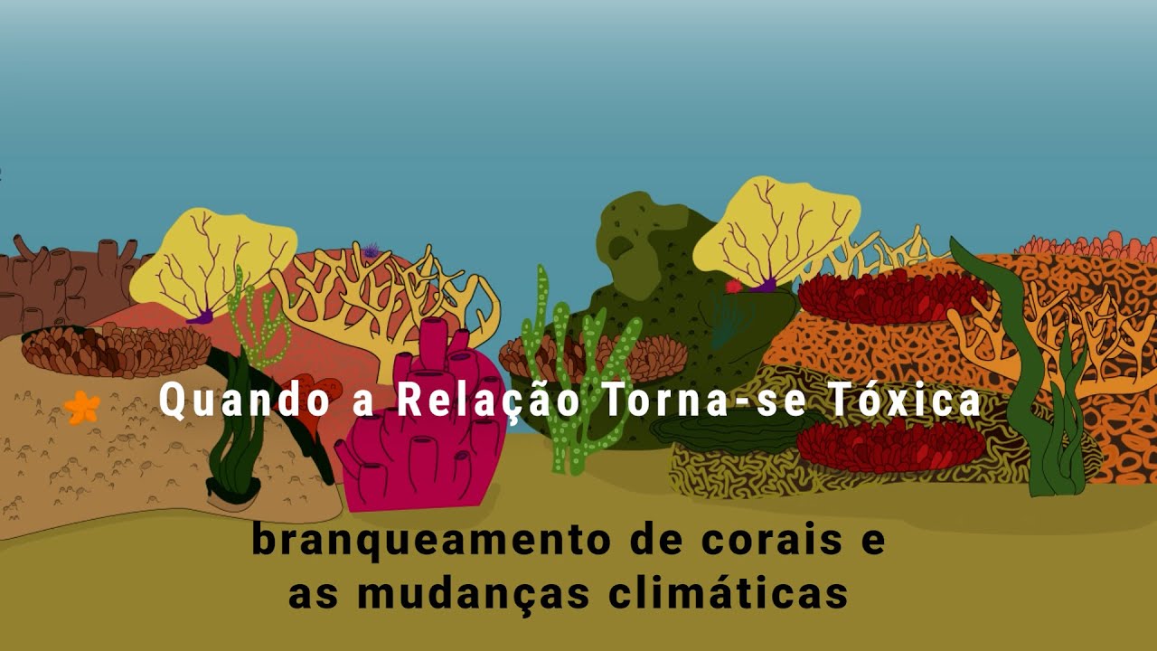 Quando a relação torna-se tóxica: branqueamento de corais e as mudanças climáticas