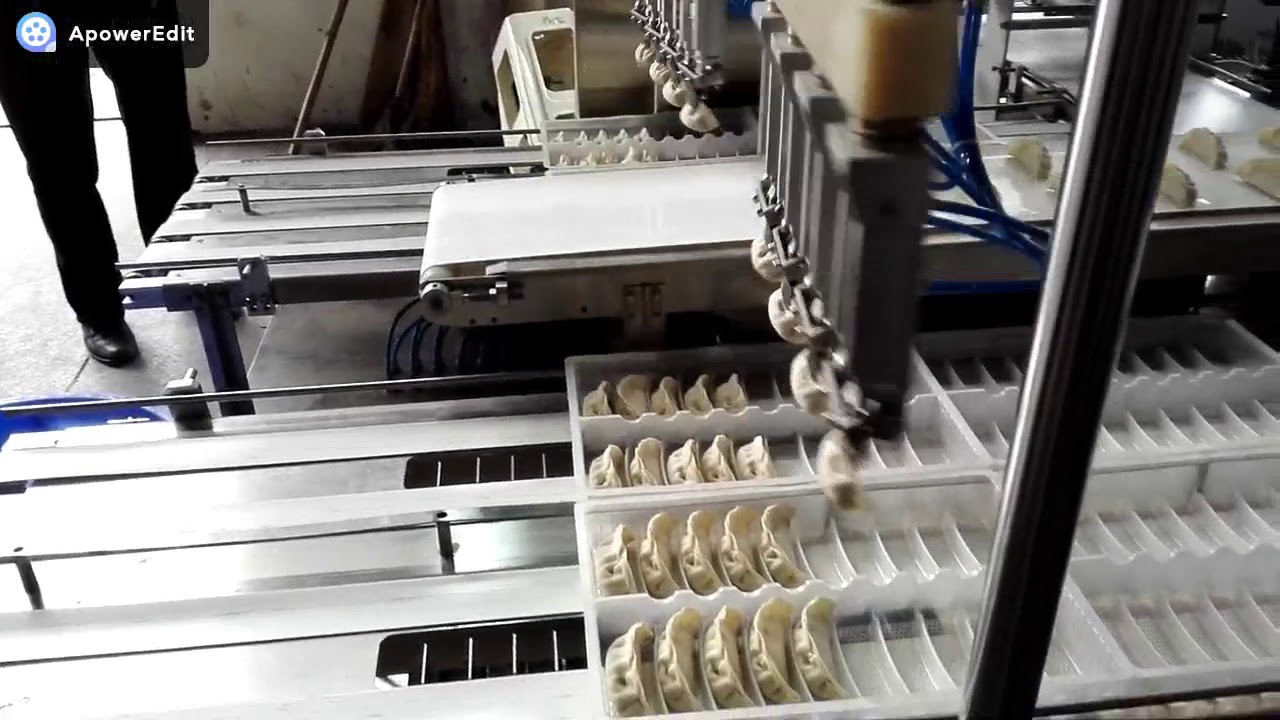 Automatic Dumpling Packaging Machine
