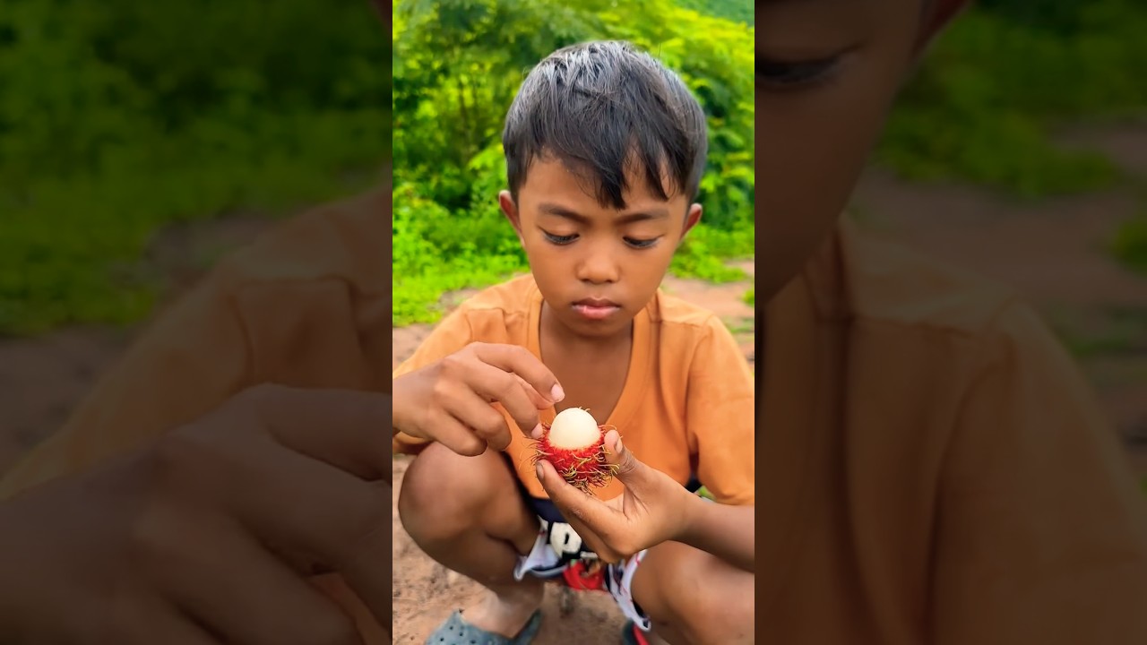 Survival Skills: SMART idea and USEFULinForest 